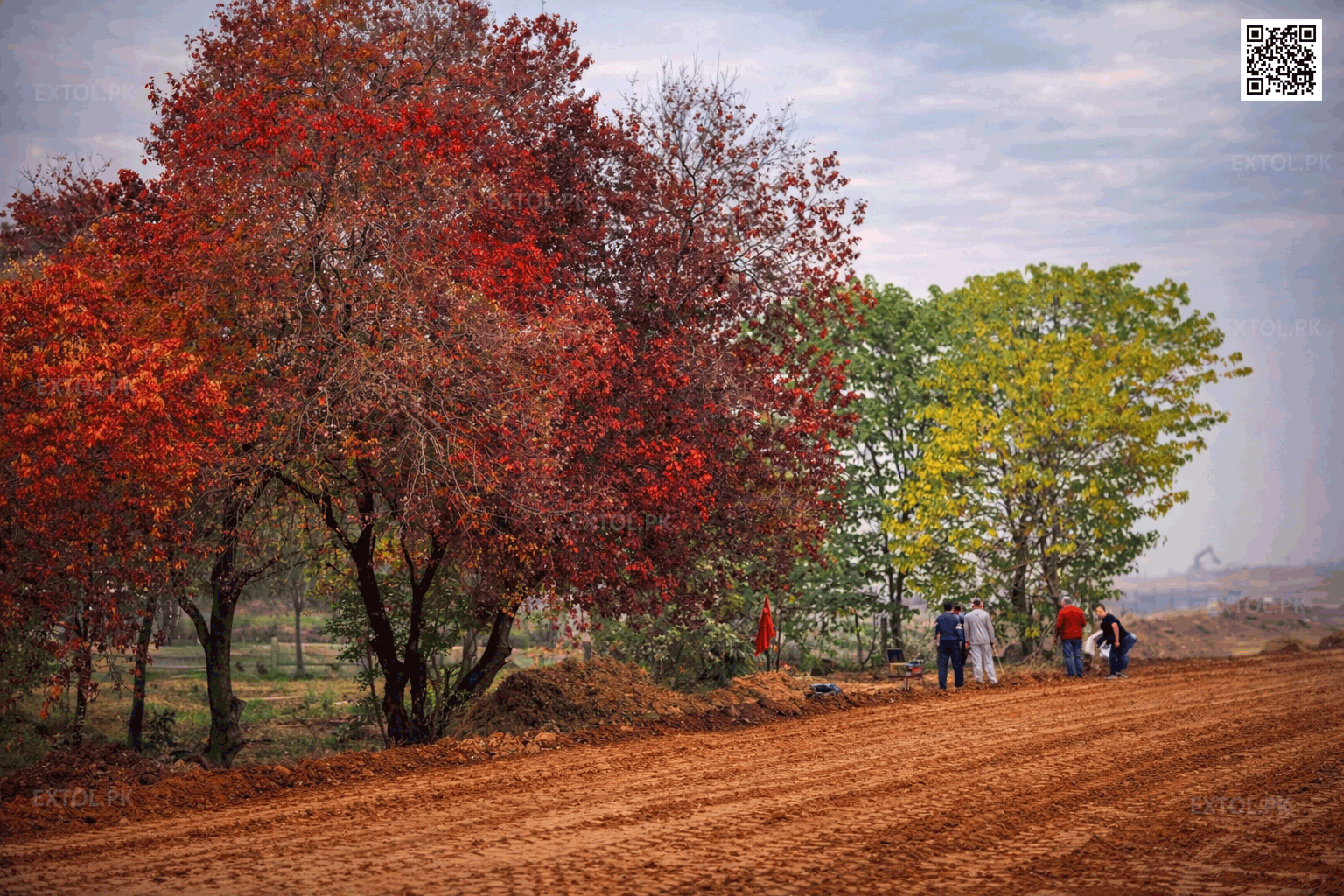 Earthmoving and Site Leveling